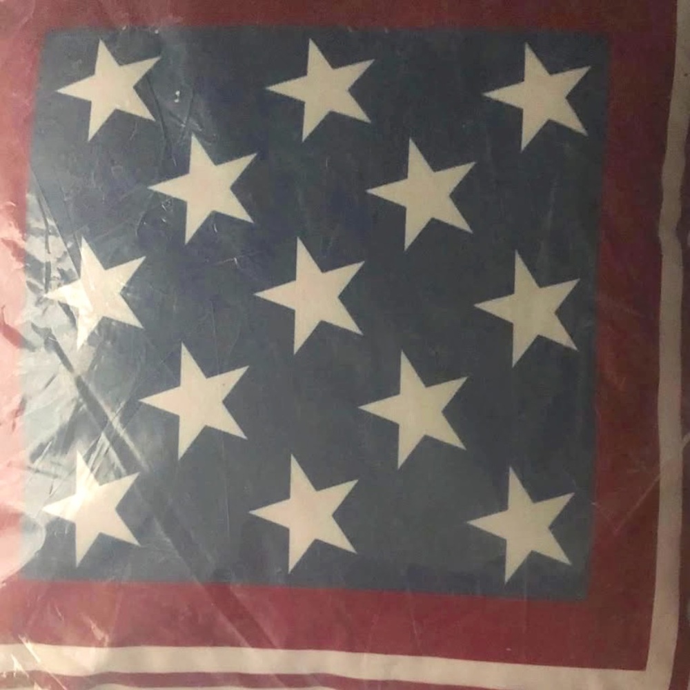Pottery Barn American Flag Pillows.